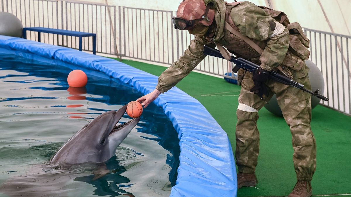 Rusové vylepšují obranu Sevastopolu. Přibyly další kotce pro delfíny cvičené proti potápěčům